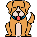 Pet transportation dog