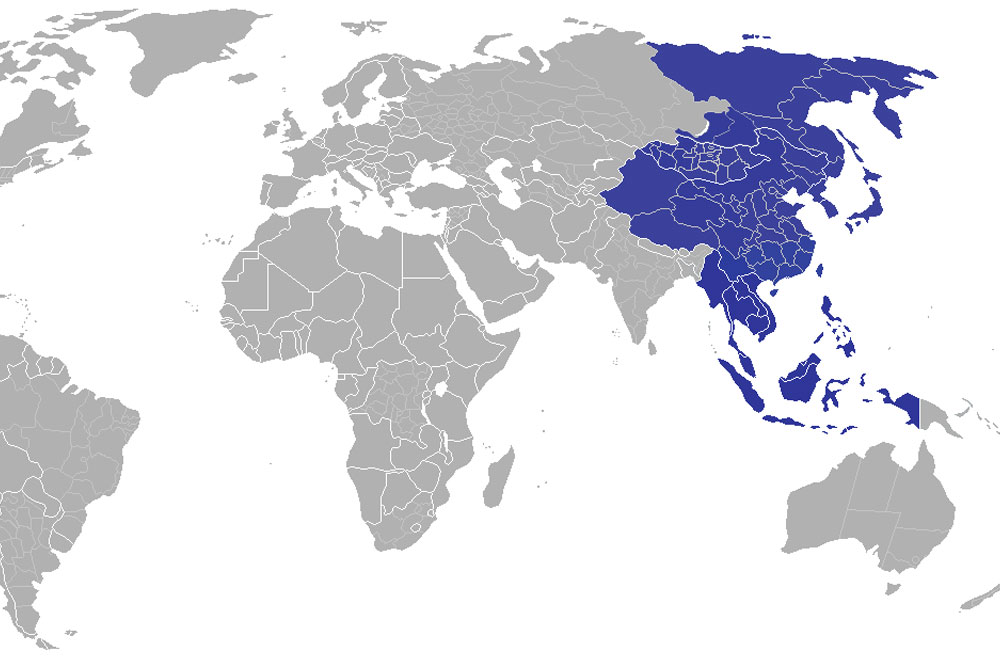 Pet Transpsortation Turkey Far East Countries