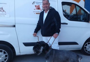 ro-pet-bodrum-to-dubai-5