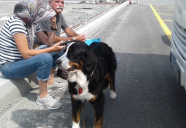 turkey-to-utah-pet-transport-sophia-2019-6